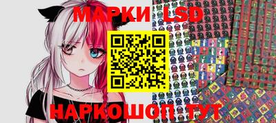 гидропоника Кингисепп