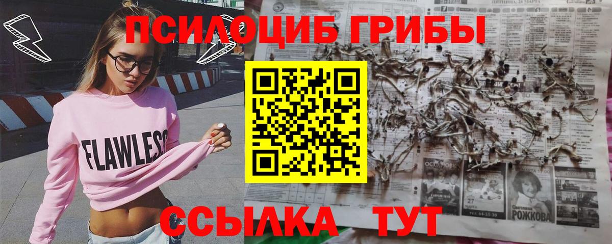 Маркс  Псилоцибиновые грибы прущие грибы  Вход с VPN  Галлюциногенные грибы Magic Shrooms 