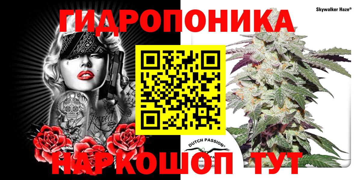 Марихуана SATIVA & INDICA  Марихуана планчик  Вход с VPN  Каннабис SATIVA & INDICA  Маркс  Марихуана Amnesia 